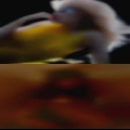 Real ads women sucking dick