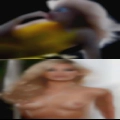 Nude woman pussy bugs drink