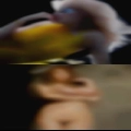 Horny seniors Myers