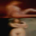 Thick body naked woman