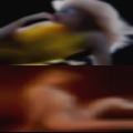Lactating woman personals